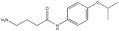 4-amino-N-[4-(propan-2-yloxy)phenyl]butanamide Structure