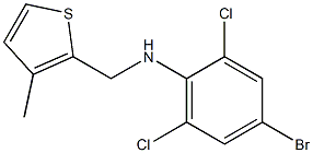 4-bromo-2,6-dichloro-N-[(3-methylthiophen-2-yl)methyl]aniline|