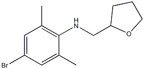 4-bromo-2,6-dimethyl-N-(oxolan-2-ylmethyl)aniline,,结构式