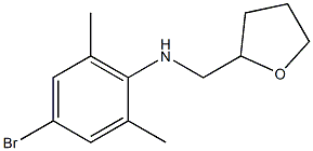 4-bromo-2,6-dimethyl-N-(oxolan-2-ylmethyl)aniline Structure