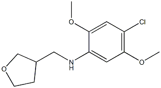 4-chloro-2,5-dimethoxy-N-(oxolan-3-ylmethyl)aniline,,结构式