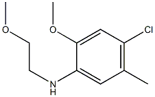 4-chloro-2-methoxy-N-(2-methoxyethyl)-5-methylaniline Structure