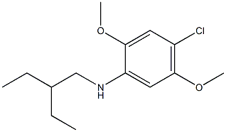 4-chloro-N-(2-ethylbutyl)-2,5-dimethoxyaniline|