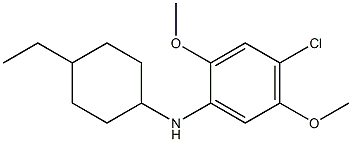 4-chloro-N-(4-ethylcyclohexyl)-2,5-dimethoxyaniline,,结构式