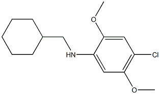 4-chloro-N-(cyclohexylmethyl)-2,5-dimethoxyaniline,,结构式