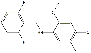 4-chloro-N-[(2,6-difluorophenyl)methyl]-2-methoxy-5-methylaniline,,结构式