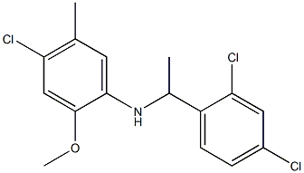 4-chloro-N-[1-(2,4-dichlorophenyl)ethyl]-2-methoxy-5-methylaniline