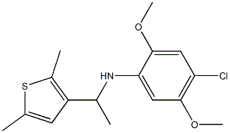 4-chloro-N-[1-(2,5-dimethylthiophen-3-yl)ethyl]-2,5-dimethoxyaniline Structure