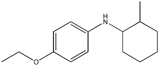 4-ethoxy-N-(2-methylcyclohexyl)aniline Structure