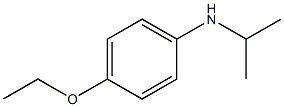 4-ethoxy-N-(propan-2-yl)aniline Structure