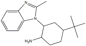 4-tert-butyl-2-(2-methyl-1H-1,3-benzodiazol-1-yl)cyclohexan-1-amine 结构式