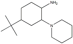 4-tert-butyl-2-(piperidin-1-yl)cyclohexan-1-amine 结构式