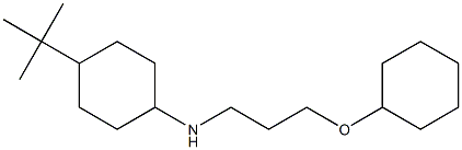 4-tert-butyl-N-[3-(cyclohexyloxy)propyl]cyclohexan-1-amine Struktur