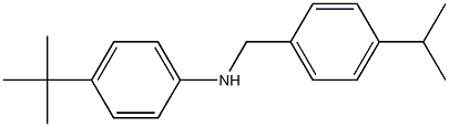 4-tert-butyl-N-{[4-(propan-2-yl)phenyl]methyl}aniline Structure