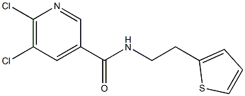 5,6-dichloro-N-[2-(thiophen-2-yl)ethyl]pyridine-3-carboxamide Structure