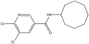 5,6-dichloro-N-cyclooctylpyridine-3-carboxamide