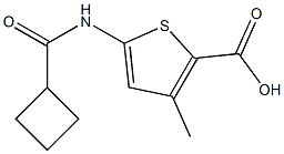 5-[(cyclobutylcarbonyl)amino]-3-methylthiophene-2-carboxylic acid|