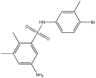 5-amino-N-(4-bromo-3-methylphenyl)-2,3-dimethylbenzene-1-sulfonamide,,结构式