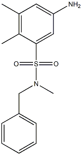 5-amino-N-benzyl-N,2,3-trimethylbenzene-1-sulfonamide