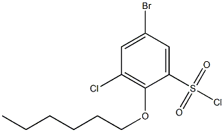 5-bromo-3-chloro-2-(hexyloxy)benzene-1-sulfonyl chloride 结构式