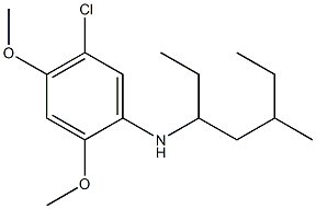 5-chloro-2,4-dimethoxy-N-(5-methylheptan-3-yl)aniline 结构式