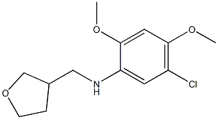 5-chloro-2,4-dimethoxy-N-(oxolan-3-ylmethyl)aniline,,结构式