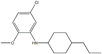 5-chloro-2-methoxy-N-(4-propylcyclohexyl)aniline 结构式