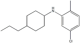 5-chloro-2-methyl-N-(4-propylcyclohexyl)aniline,,结构式