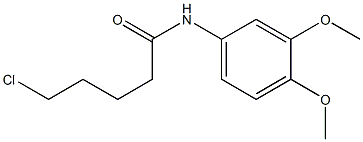 5-chloro-N-(3,4-dimethoxyphenyl)pentanamide 化学構造式