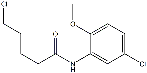 5-chloro-N-(5-chloro-2-methoxyphenyl)pentanamide,,结构式