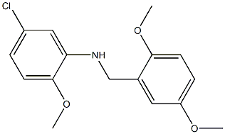 5-chloro-N-[(2,5-dimethoxyphenyl)methyl]-2-methoxyaniline 结构式