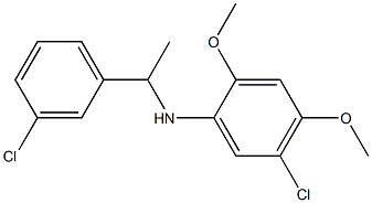 5-chloro-N-[1-(3-chlorophenyl)ethyl]-2,4-dimethoxyaniline,,结构式