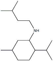 5-methyl-N-(3-methylbutyl)-2-(propan-2-yl)cyclohexan-1-amine Struktur