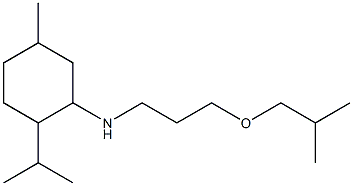 5-methyl-N-[3-(2-methylpropoxy)propyl]-2-(propan-2-yl)cyclohexan-1-amine,,结构式