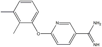  6-(2,3-dimethylphenoxy)pyridine-3-carboximidamide