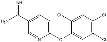 6-(2,4,5-trichlorophenoxy)pyridine-3-carboximidamide,,结构式