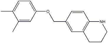 6-(3,4-dimethylphenoxymethyl)-1,2,3,4-tetrahydroquinoline Struktur