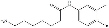 7-amino-N-(4-bromo-3-methylphenyl)heptanamide 化学構造式