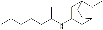 8-methyl-N-(6-methylheptan-2-yl)-8-azabicyclo[3.2.1]octan-3-amine,,结构式