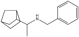 benzyl(1-{bicyclo[2.2.1]heptan-2-yl}ethyl)amine