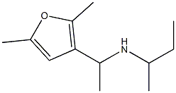 butan-2-yl[1-(2,5-dimethylfuran-3-yl)ethyl]amine