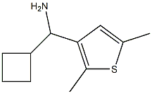 cyclobutyl(2,5-dimethylthiophen-3-yl)methanamine,,结构式