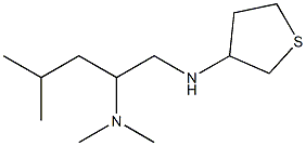 dimethyl[4-methyl-1-(thiolan-3-ylamino)pentan-2-yl]amine 结构式