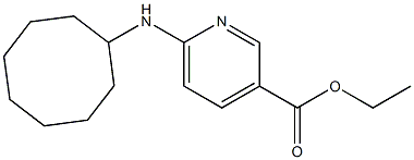 ethyl 6-(cyclooctylamino)pyridine-3-carboxylate 化学構造式