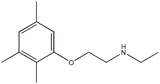 ethyl[2-(2,3,5-trimethylphenoxy)ethyl]amine 结构式