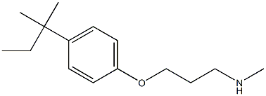 methyl({3-[4-(2-methylbutan-2-yl)phenoxy]propyl})amine Structure