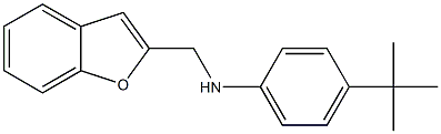 N-(1-benzofuran-2-ylmethyl)-4-tert-butylaniline Struktur
