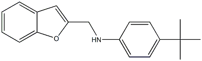 N-(1-benzofuran-2-ylmethyl)-4-tert-butylaniline,,结构式