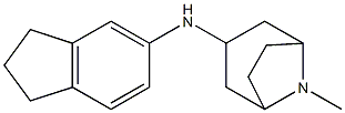 N-(2,3-dihydro-1H-inden-5-yl)-8-methyl-8-azabicyclo[3.2.1]octan-3-amine Structure