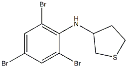 N-(2,4,6-tribromophenyl)thiolan-3-amine 化学構造式